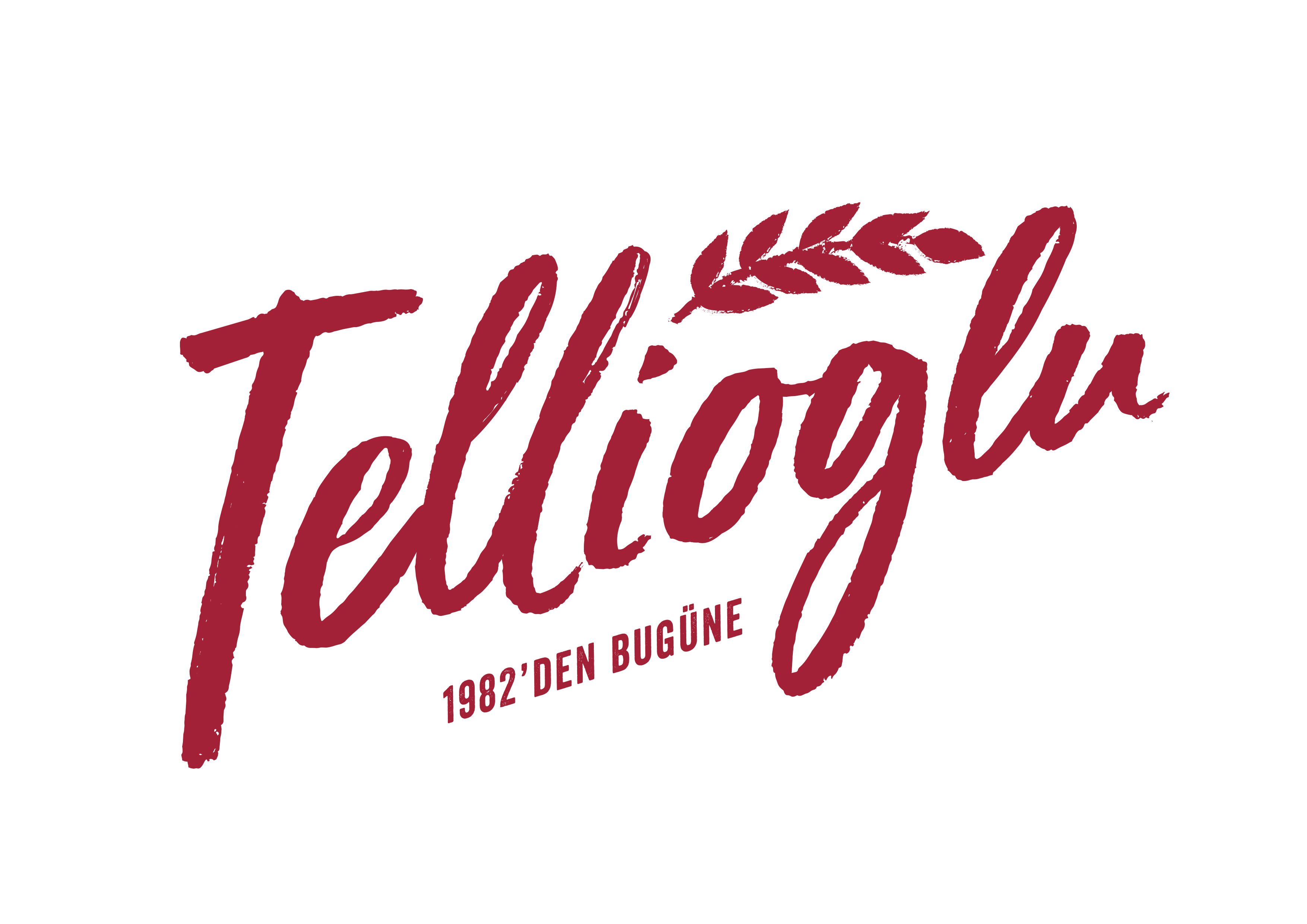 TELLIOGLU YEM-GIDA ENTEGRE TESISLERI SAN.VE TIC.A.S.