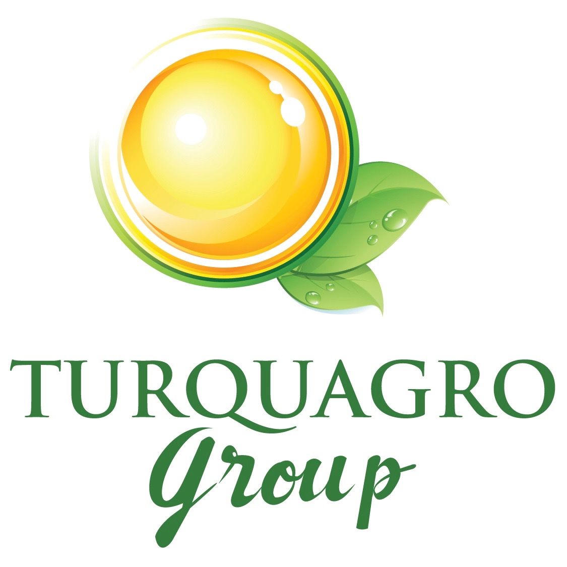 T-AGRO ZİRAİ ÜRÜNLER MAKİNA GIDA SANAYİ TİCARET LİMİTED ŞİRKETİ